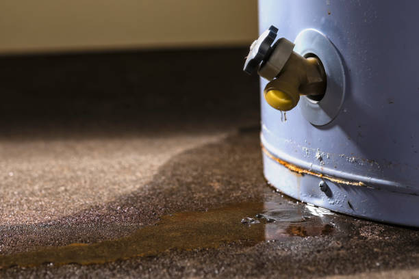 Best Flood restoration services  in Slaton, TX