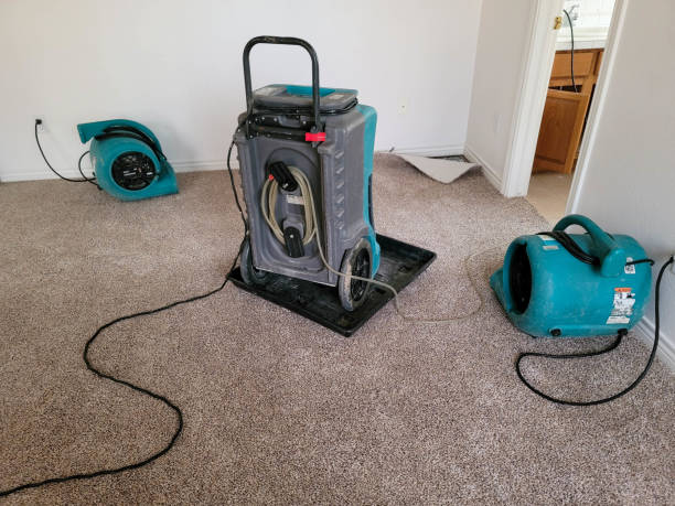 Best Commercial water damage restoration  in Slaton, TX