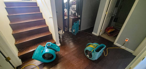 Water damage restoration mold remediation in TX