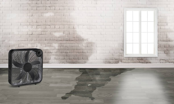 24/7 water damage repair in TX