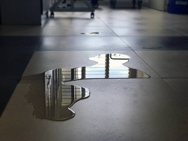 Best Water damage repair service  in Slaton, TX