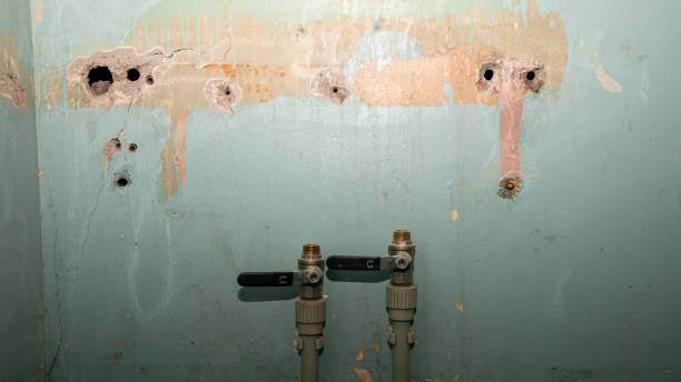 Reliable TX Water damage restoration Solutions