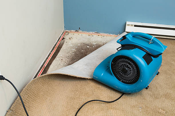 Best Sewage cleanup and water damage restoration  in Slaton, TX